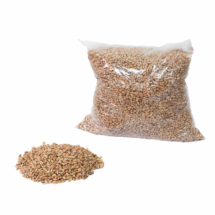 Солод пшеничный (1 кг) в Горно-Алтайске